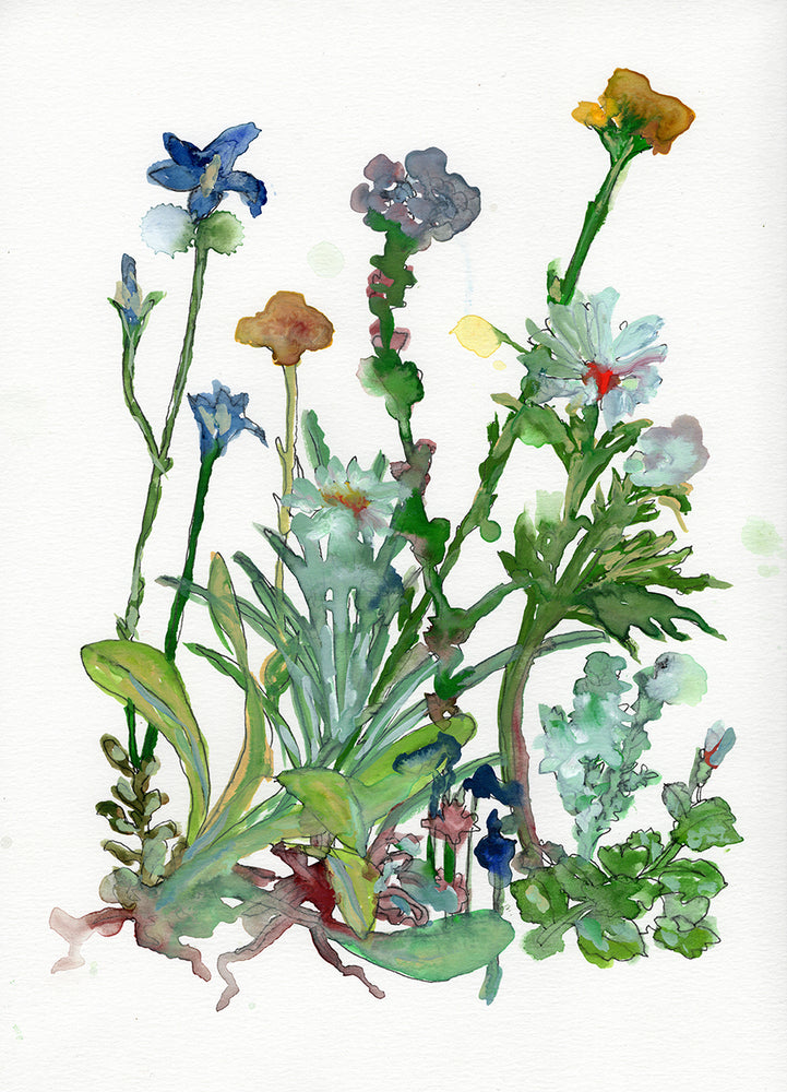 Floral Watercolor Print