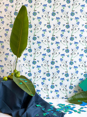 Dianthus Blueberry Wallpaper