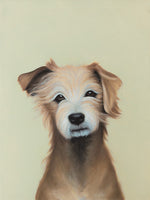 Dog Portrait I, Aardi
