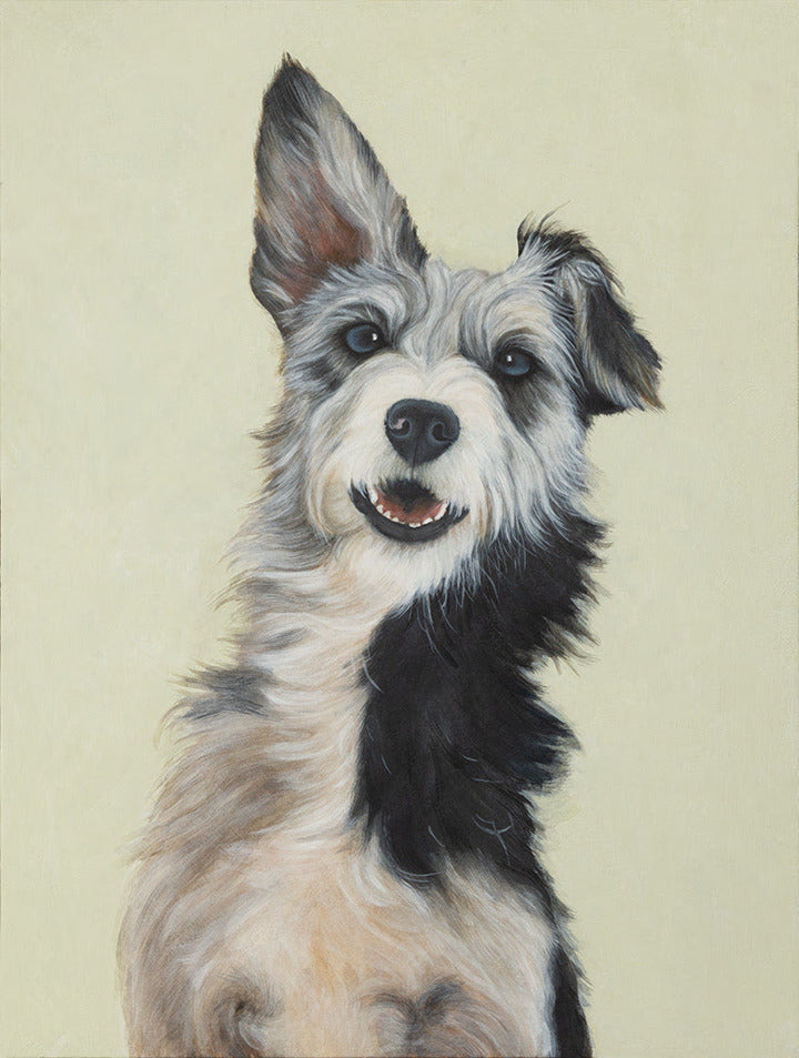 Dog Portrait IV, Lorenzo