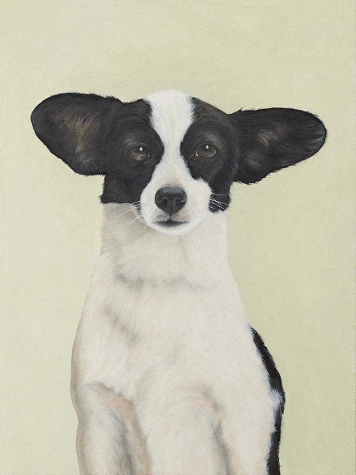 Dog Portrait III, Cosmo