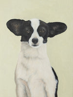 Dog Portrait III, Cosmo