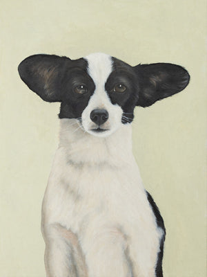 Dog Portrait III, Cosmo