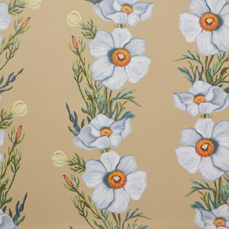 Ojai Matilija Straw Wallpaper