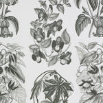 Flore Des Serres Charcoal Wallpaper