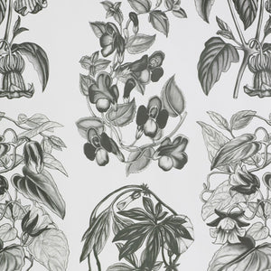 Flore Des Serres Charcoal Wallpaper
