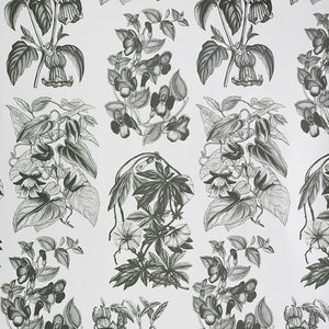 Flore Des Serres Charcoal Wallpaper