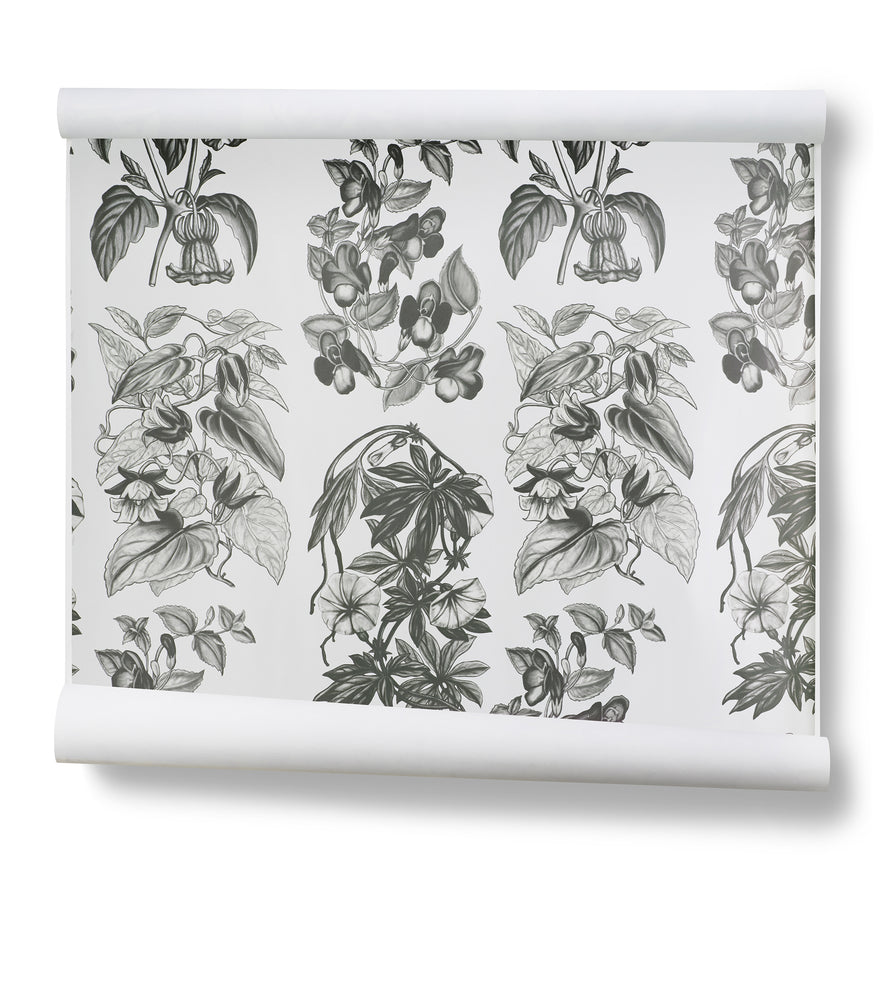 Flore Des Serres Charcoal Wallpaper
