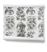 Flore Des Serres Charcoal Wallpaper
