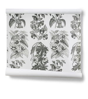 Flore Des Serres Charcoal Wallpaper