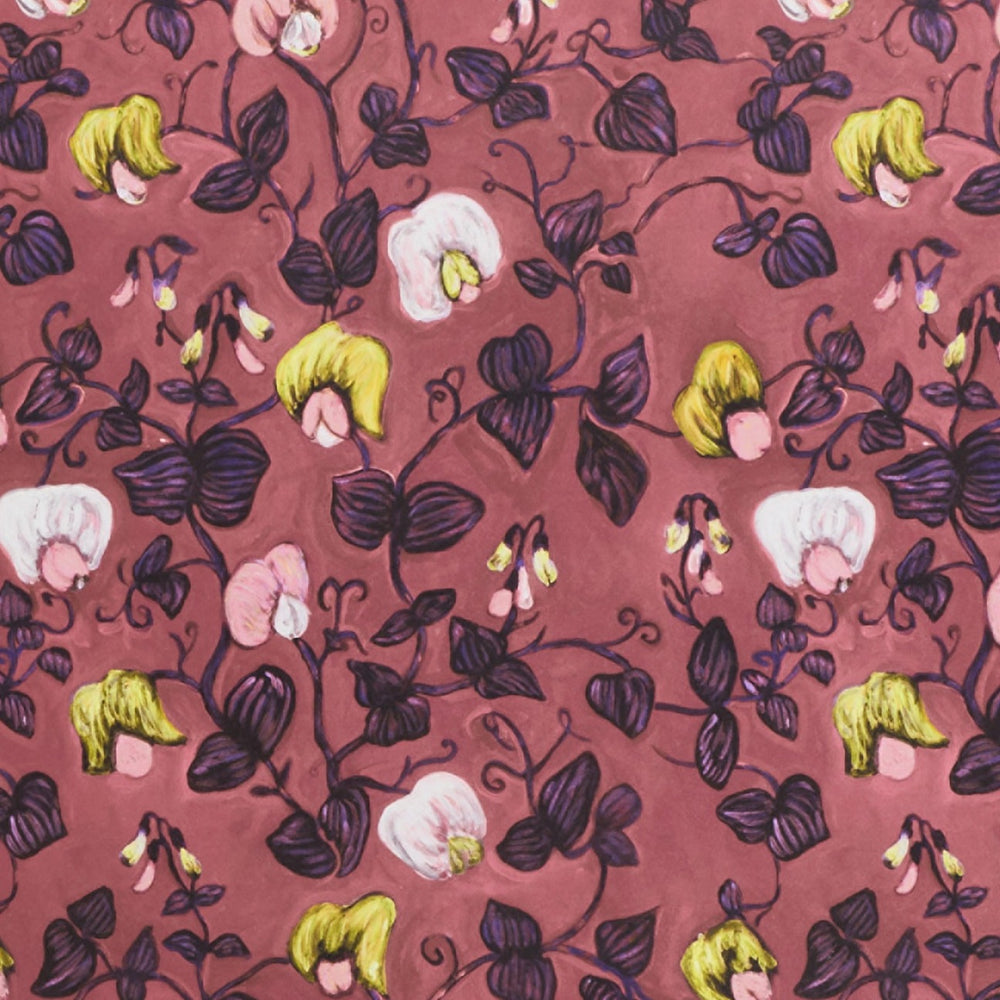 Sweet Pea Rose Wallpaper